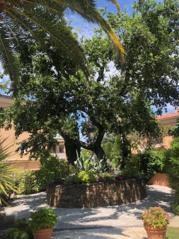 Belle Residence Au Centre De Saint Tropez Avec Piscine Et Garage Saint-Tropez Exterior foto